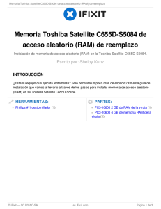 Memoria Toshiba Satellite C655D-S5084 de acceso aleatorio (RAM