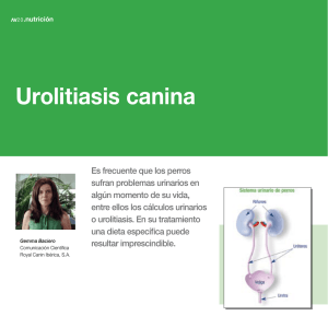 Urolitiasis canina