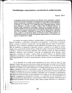 ` Morfofisiología, comportamiento y germinación de semillas forestales