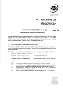 REF.: Imparte instrucciones sobre determinación del patrimonio de