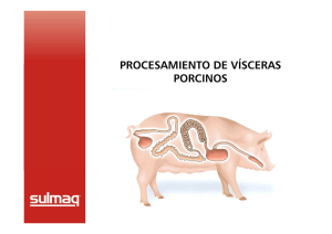 Procesamiento de Visceras de Cerdos