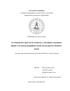 La relación del Ciprés de las Guaitecas y actividades económicas