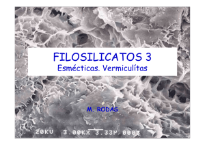 FILOSILICATOS 3 Esmécticas. Vermiculítas