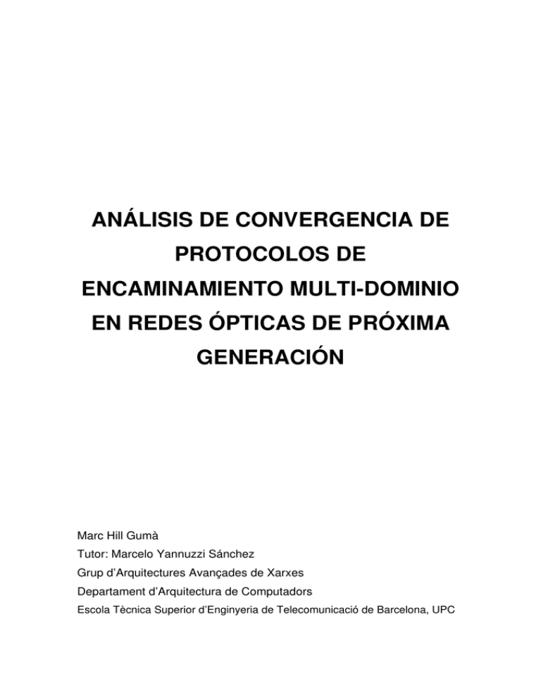 An lisis De Convergencia De Protocolos De Encaminamiento Multi