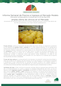 Informe Nro 19 - Mercado Modelo