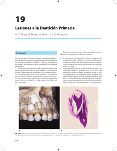 Lesiones a la Dentición Primaria