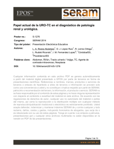 Papel actual de la URO-TC en el diagnóstico de patología renal y
