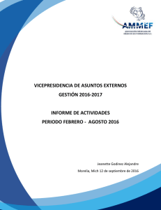 vicepresidencia de asuntos externos gestión 2016-2017