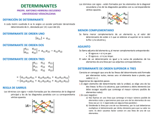determinantes - Universidad Veracruzana
