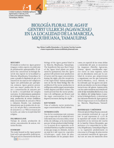 biología floral de agave geivtryi ullrich (agavaceae)