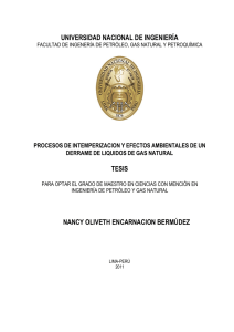 universidad nacional de ingenier&iacute;a tesis nancy oliveth encarnacion