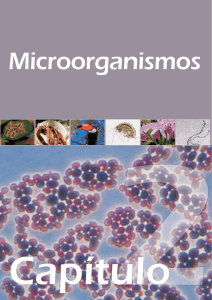 Microorganismos - Ministério do Meio Ambiente