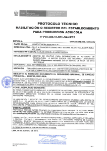 protocolo técnico