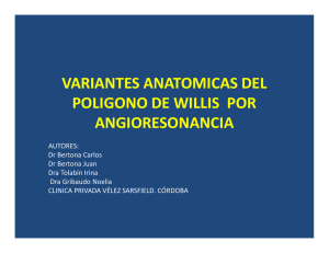 variantes anatomicas del poligono de willis por angioresonancia