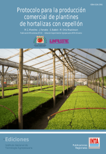 Protocolo para la producción comercial de plantines de hortalizas