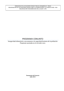PROGRAMA CONJUNTO - El PNUD en Guatemala