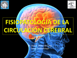 fisiopatología de la circulación cerebral