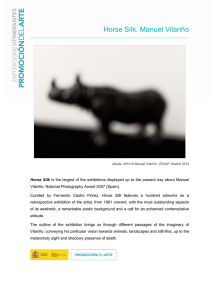 Horse Silk. Manuel Vilariño - Ministerio de Educación, Cultura y