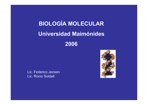 Diapositiva 1 - Universidad Maimónides