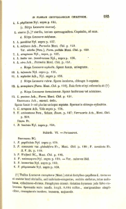 4. i. jjftj/Htioum Nyl. supra p. 4 54, (c. Stirps Lecanorce cinereoe). L
