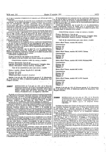 PDF (BOE-A-1991-25668 - 2 págs. - 152 KB )