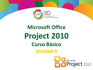 Microsoft Project 2010 Informes