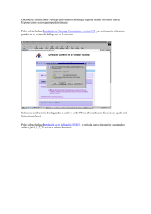 Opciones de instalación de Netscape para usuarios Sirhus que