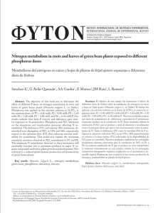 Nitrogen metabolism in roots and leaves of green bean plants