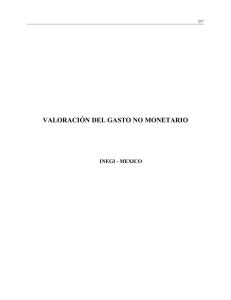 VALORACIÓN DEL GASTO NO MONETARIO