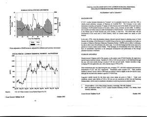 cocoa cultivation on ptpp london sumatra indonesia estates