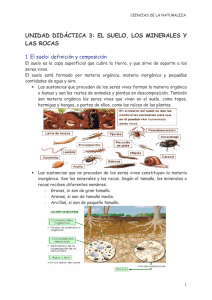 unidad didáctica 3: el suelo, los minerales y las rocas