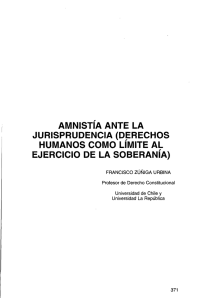 Amnistía ante la Jurisprudencia (Derechos Humanos como Límite al