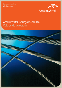 ArcelorMittal Bourg-en-Bresse Cables de elevación