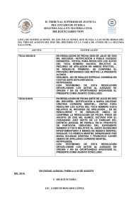 diligenciario non - Tribunal Superior de Justicia del Estado de Puebla