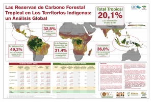 Las Reservas de Carbono Forestal Tropical en Los Territorios