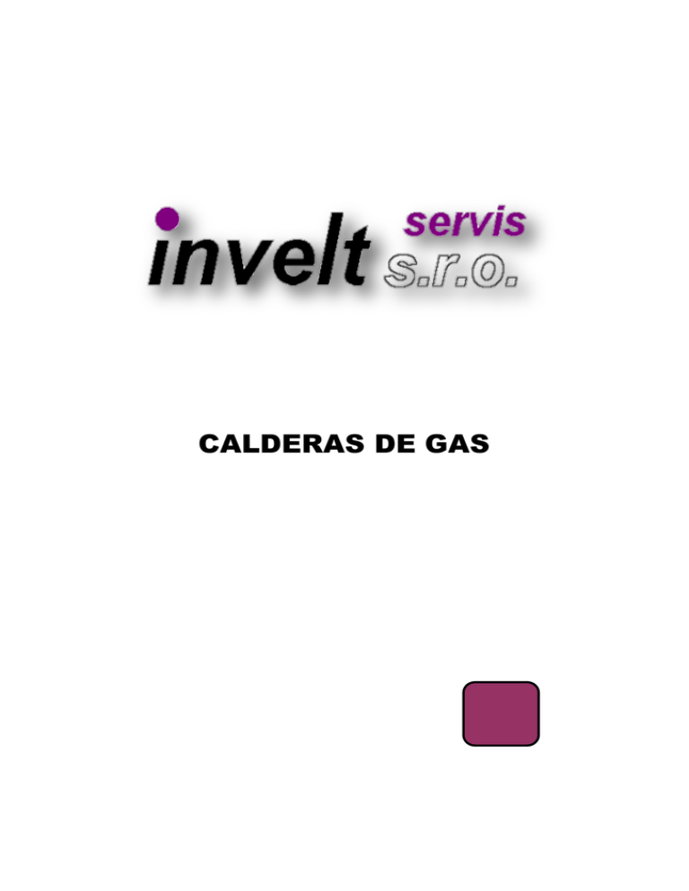 Calderas De Gas