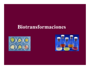Biotransformaciones