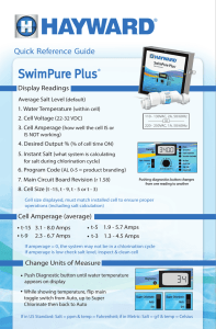 092574 (SwimPure Plus (SWP15))2