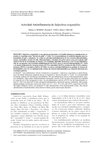 Actividad Antiinflamatoria de Salpichroa origanifolia