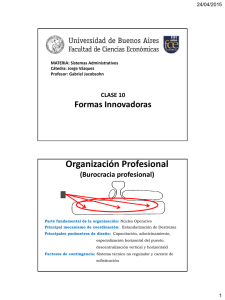 Organización Profesional