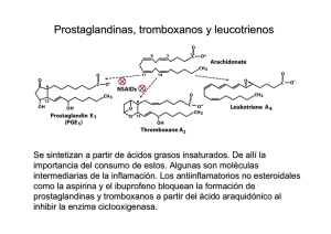 Prostaglandinas, tromboxanos y leucotrienos