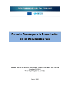 Formato Común para la Presentación de los Documentos País