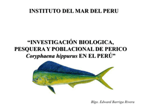 Aspectos biológicos y pesqueros del perico en Perú