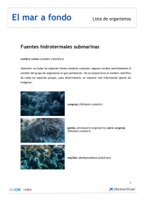 lista organismos fuentes hidrotermales submarinas