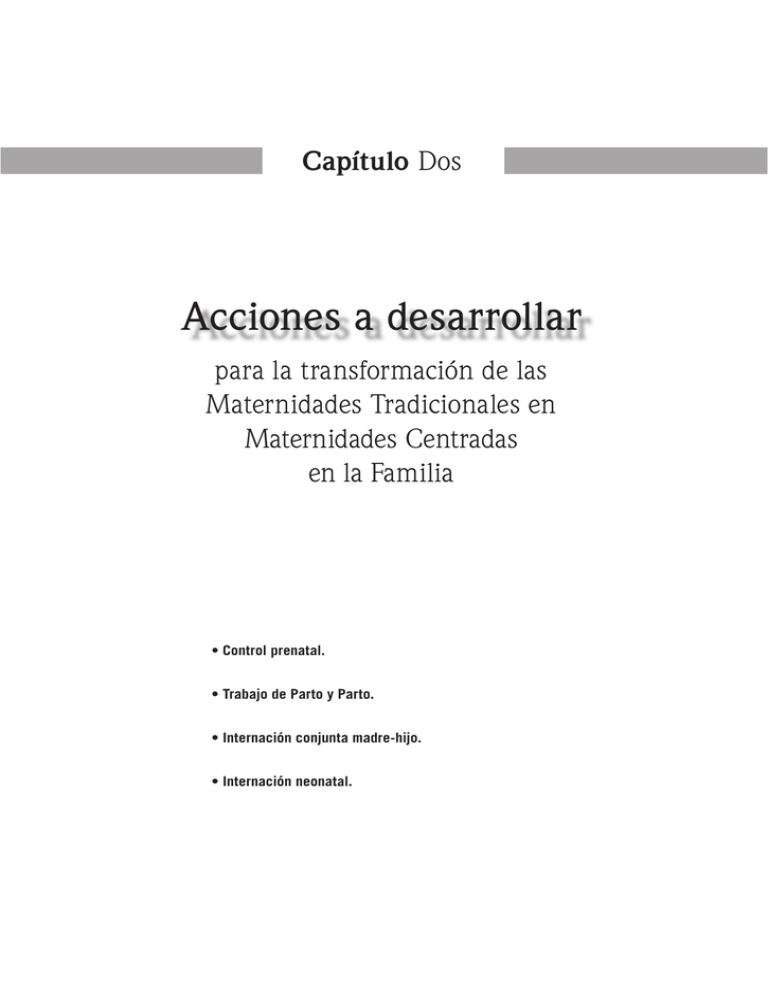 Acciones A Desarrollar