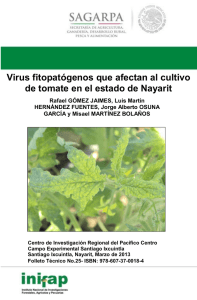 Virus fitopatógenos que afectan al cultivo de tomate en el estado de