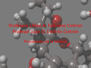 Profesora Lillian A. Feliciano Cintrón