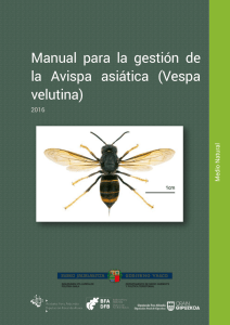 Manual para la gestión de la Avispa asiática (Vespa