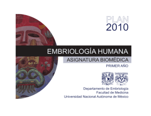 embriología humana - Facultad de Medicina