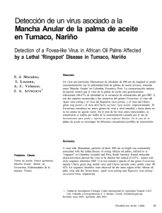 Detección de un virus asociado a la Mancha Anular de la palma de